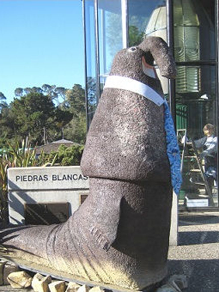 2012-adult-friends-elephant-seal