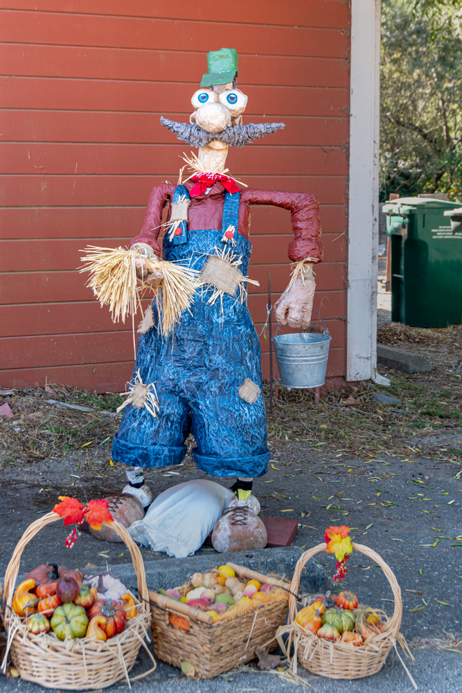 Home Cambria Scarecrow Festival